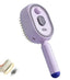 Scalp Massager Air Cushion Spray Brush