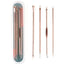4Pcs Blackhead and Acne Remover Set silver and rose gold color variants for stylish home skincare kits