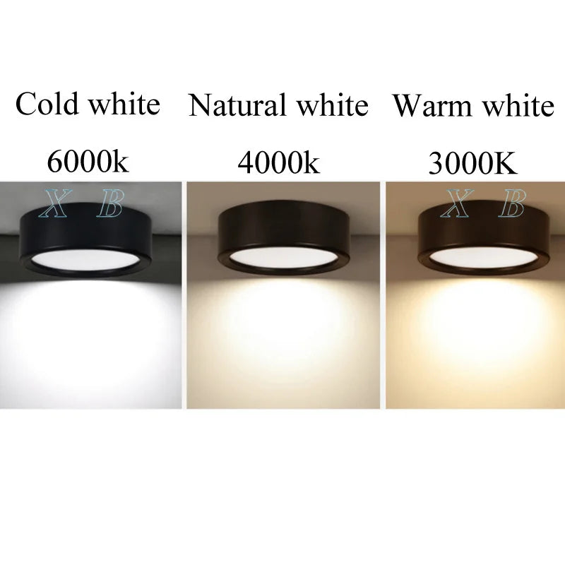 AC220V LED Ceiling Light Surface Mounted Indoor Lamp