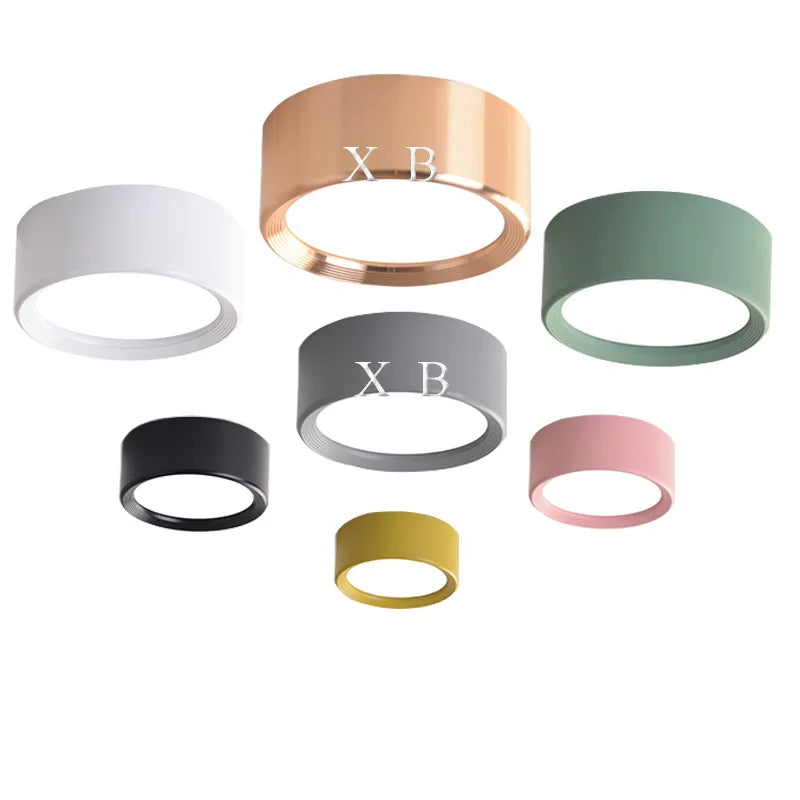 AC220V LED Ceiling Light Surface Mounted Indoor Lamp