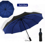 Buy Windproof Double Layer Automatic Umbrella UV Protection