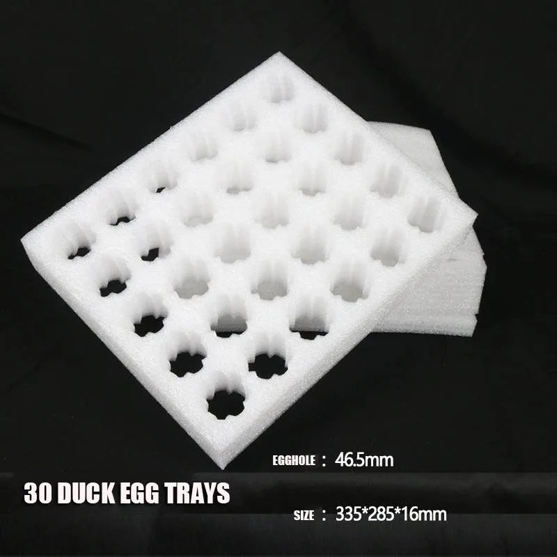 30 Grid Foam Egg Tray Shockproof Egg Holder Main image