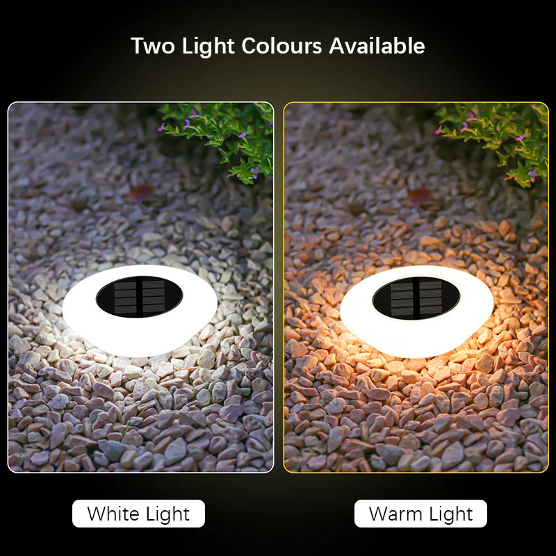 14 LED Solar Ground Lights for Garden, Yard & Pathway Decor