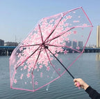 Buy Cherry Blossom Transparent Umbrella