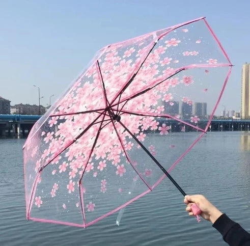 Buy Cherry Blossom Transparent Umbrella
