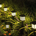 2 Pack Solar Pathway Lights