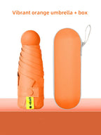 Buy Anti-UV Mini Umbrella with 6 Reinforced Ribs