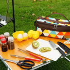 2 Grid Egg Storage Box Portable Camping Egg Holder
