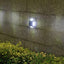 8 LED Solar Ground Light Waterproof Garden Lamp
