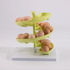 Spiral Egg Dispenser Kitchen Egg Holder Rack