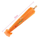 Buy Japanese Cherry Blossom Parasol