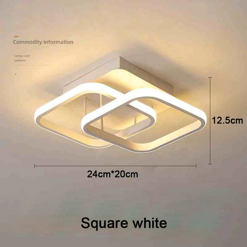 Modern 2 Rings LED Ceiling Light Creative Ceiling Lamp