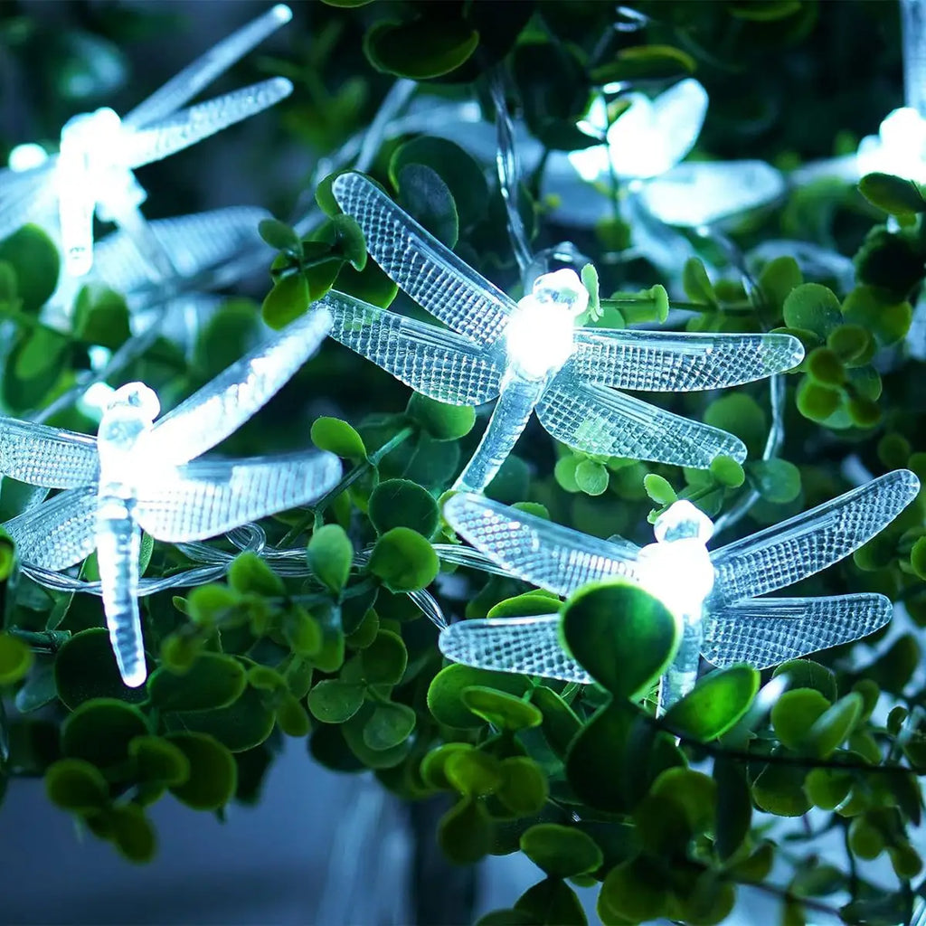 10 LED Fairy String Lights for Home, Party & Wedding Decor