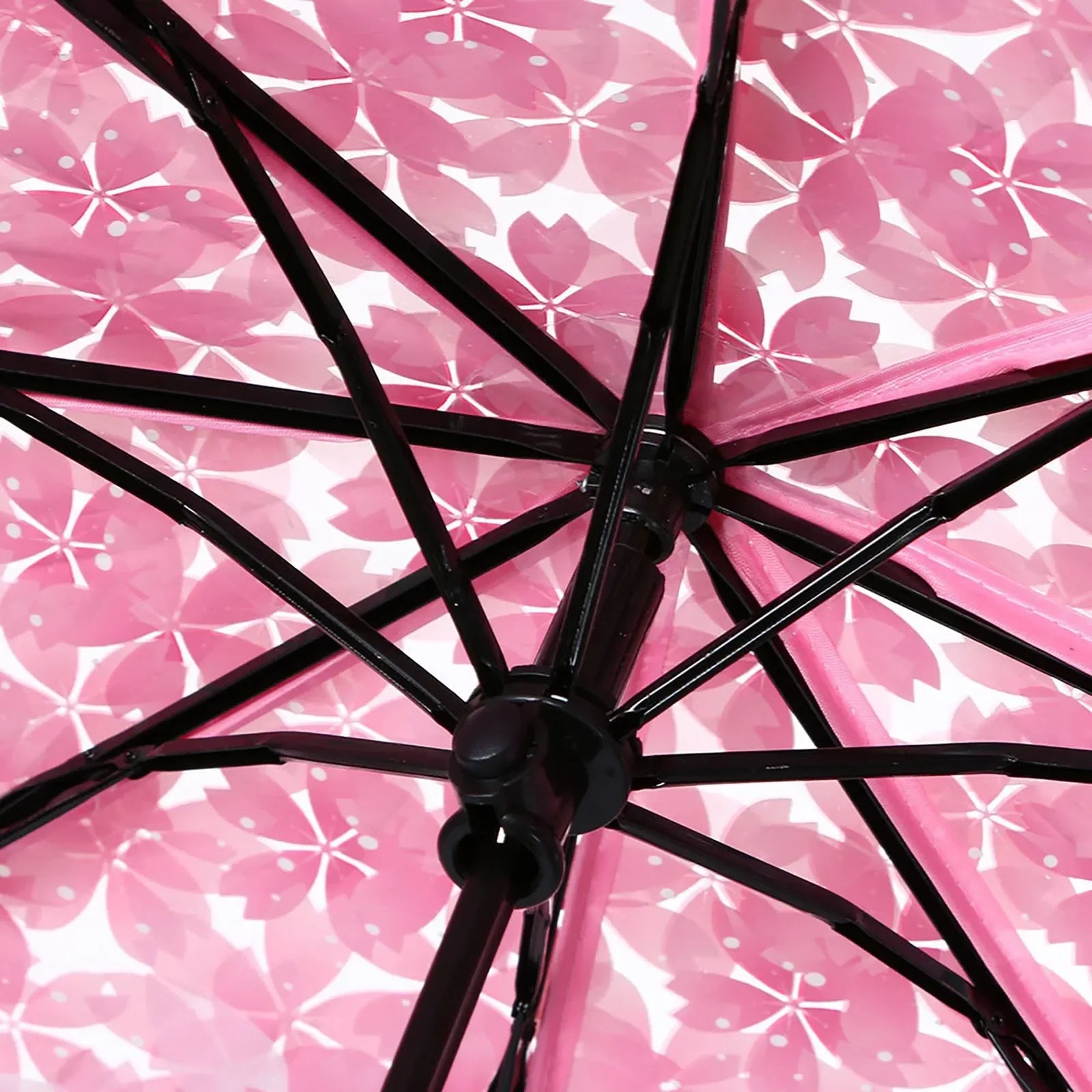 Buy Cherry Blossom Transparent Umbrella