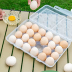 Portable Egg Storage Box Fridge Egg Holder