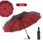 Buy Windproof Double Layer Automatic Umbrella UV Protection