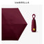 Buy UV Protection Mini 5-Fold Umbrella Compact Travel