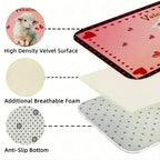 Soft Kitchen Carpet Floor Mat Living Room, Bedroom & Bathroom Rug