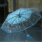 Buy Cherry Blossom Transparent Umbrella