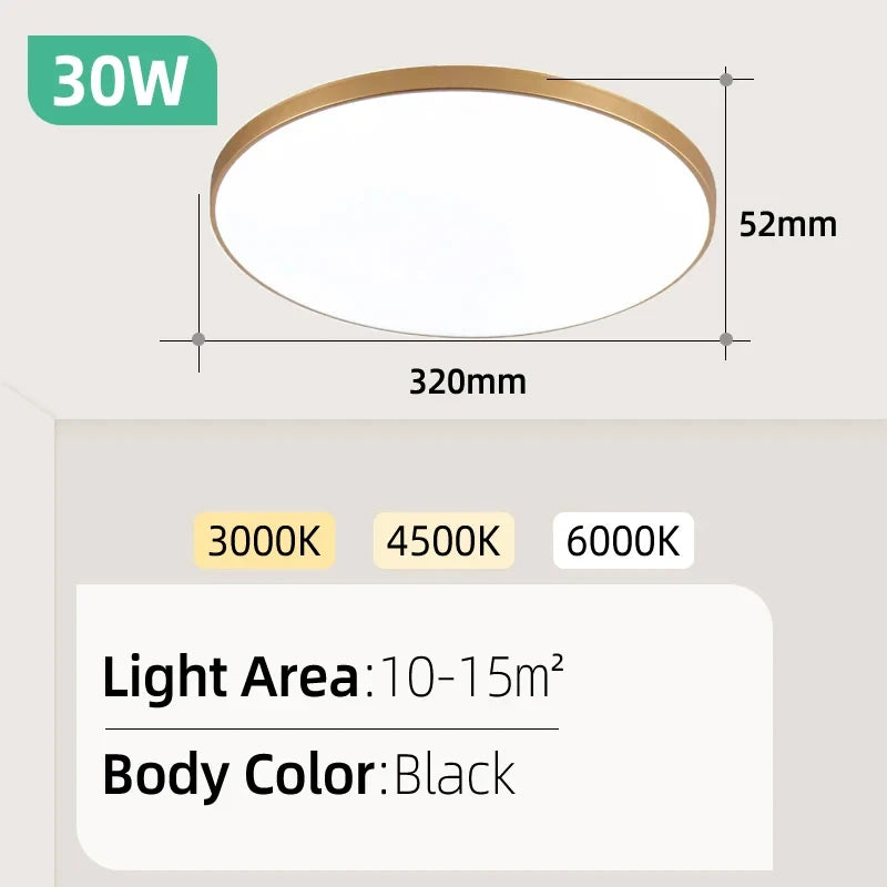 Ultra Thin LED Ceiling Lamp for Bedroom & Living Room