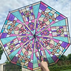 Buy Transparent Long Handle Umbrella