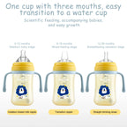 3-in-1 Baby Feeding Bottle Learning Cup with Handle