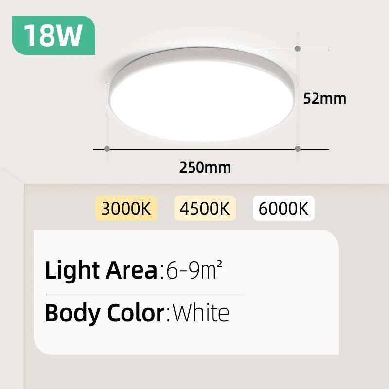 Ultra Thin LED Ceiling Lamp for Bedroom & Living Room