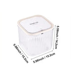 Transparent Storage Box Multi-Purpose Organizer