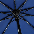 Buy Windproof Double Layer Automatic Umbrella UV Protection