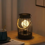 Iron Wire Cage LED Night Light for Bedroom & Living Room