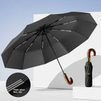 Buy UPF50+ Automatic UV Umbrella
