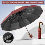 Buy UPF50+ Automatic UV Umbrella