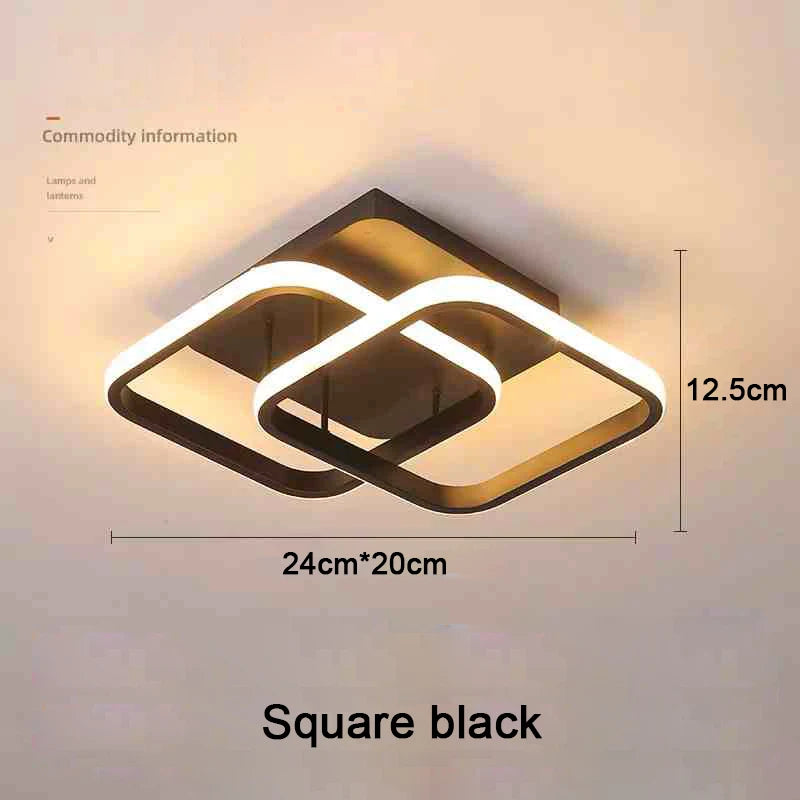 Modern 2 Rings LED Ceiling Light Creative Ceiling Lamp