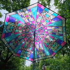 Buy Transparent Long Handle Umbrella