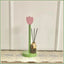 Tulip Wood Paper Towel Holder