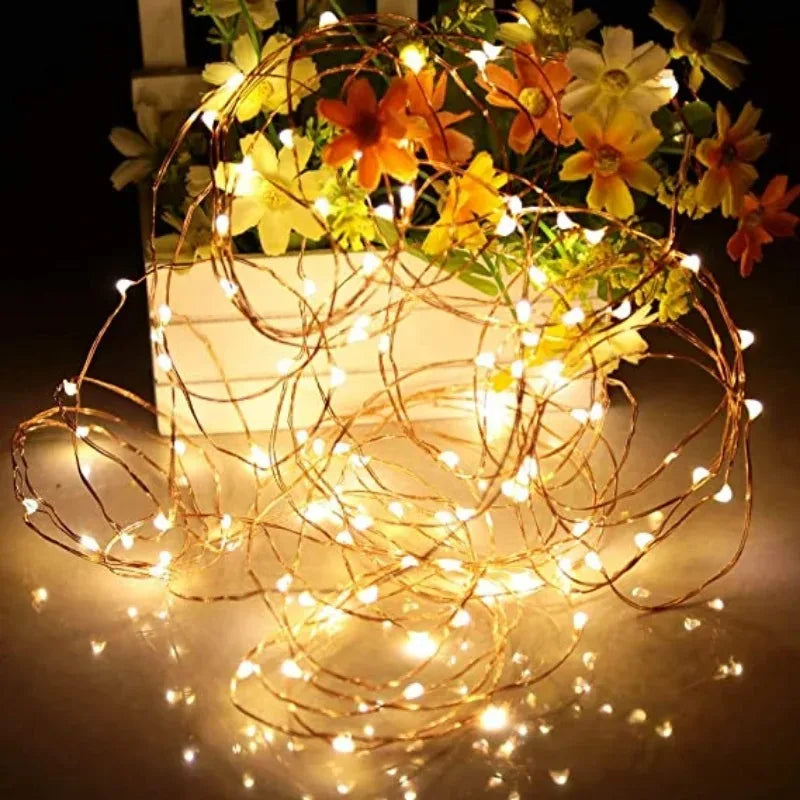 Fairy String Lights Battery LED Garland Decoration