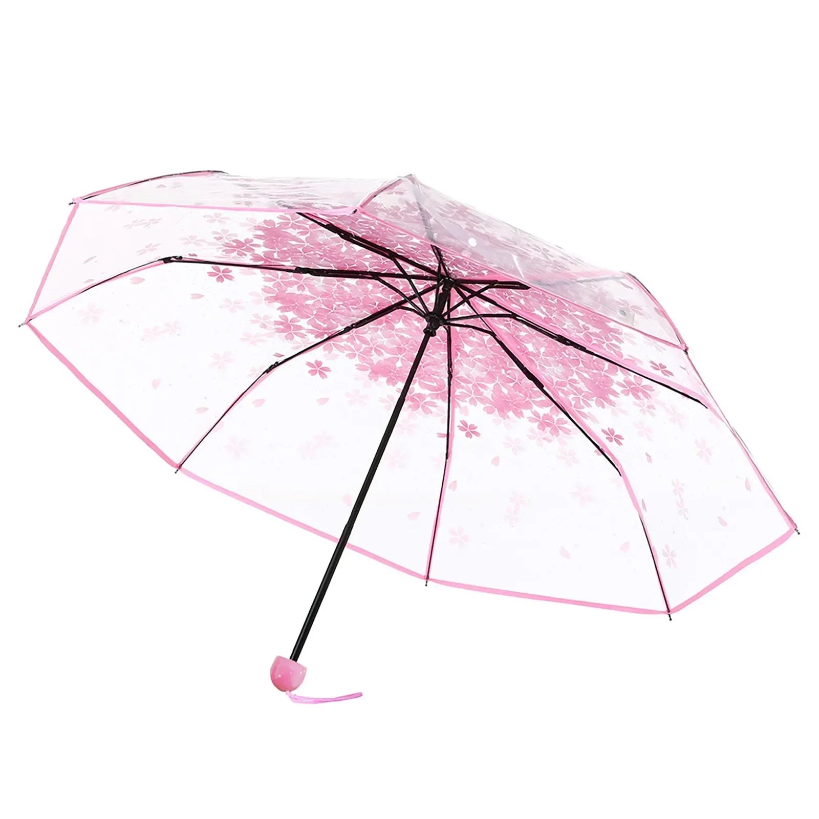 Buy Cherry Blossom Transparent Umbrella