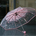 Buy Cherry Blossom Transparent Umbrella