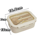 850ML Divided Lunch Box Microwave Safe Bento Food Storage Container