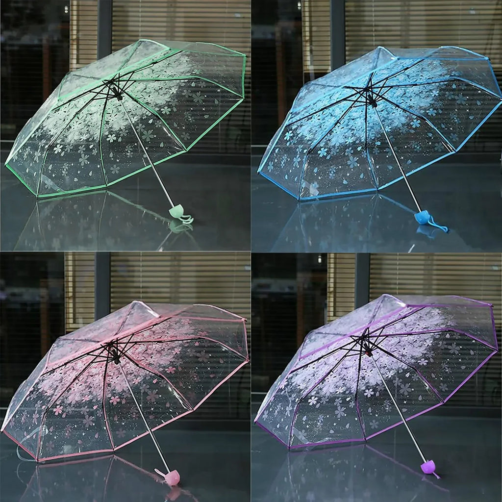 Buy Cherry Blossom Transparent Umbrella