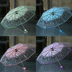 Buy Cherry Blossom Transparent Umbrella