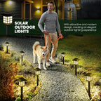 2 Pack Solar Pathway Lights