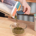 4-Grid Airtight Food Storage Container