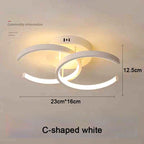 Modern 2 Rings LED Ceiling Light Creative Ceiling Lamp