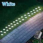 Solar LED Garden Pathway Lights 8 Lighting Modes