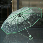 Buy Cherry Blossom Transparent Umbrella