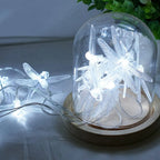 10 LED Fairy String Lights for Home, Party & Wedding Decor