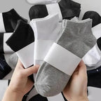Unisex Ankle Socks Breathable Lightweight Sports Trainer Socks 5-10 Pack