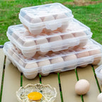 Portable Egg Storage Box Fridge Egg Holder