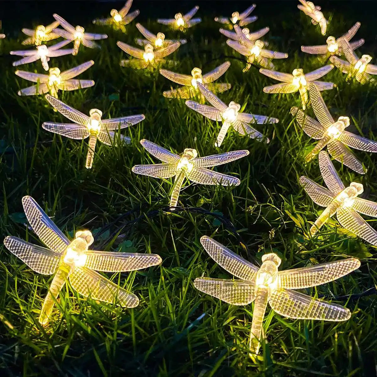 10 LED Fairy String Lights for Home, Party & Wedding Decor Main image